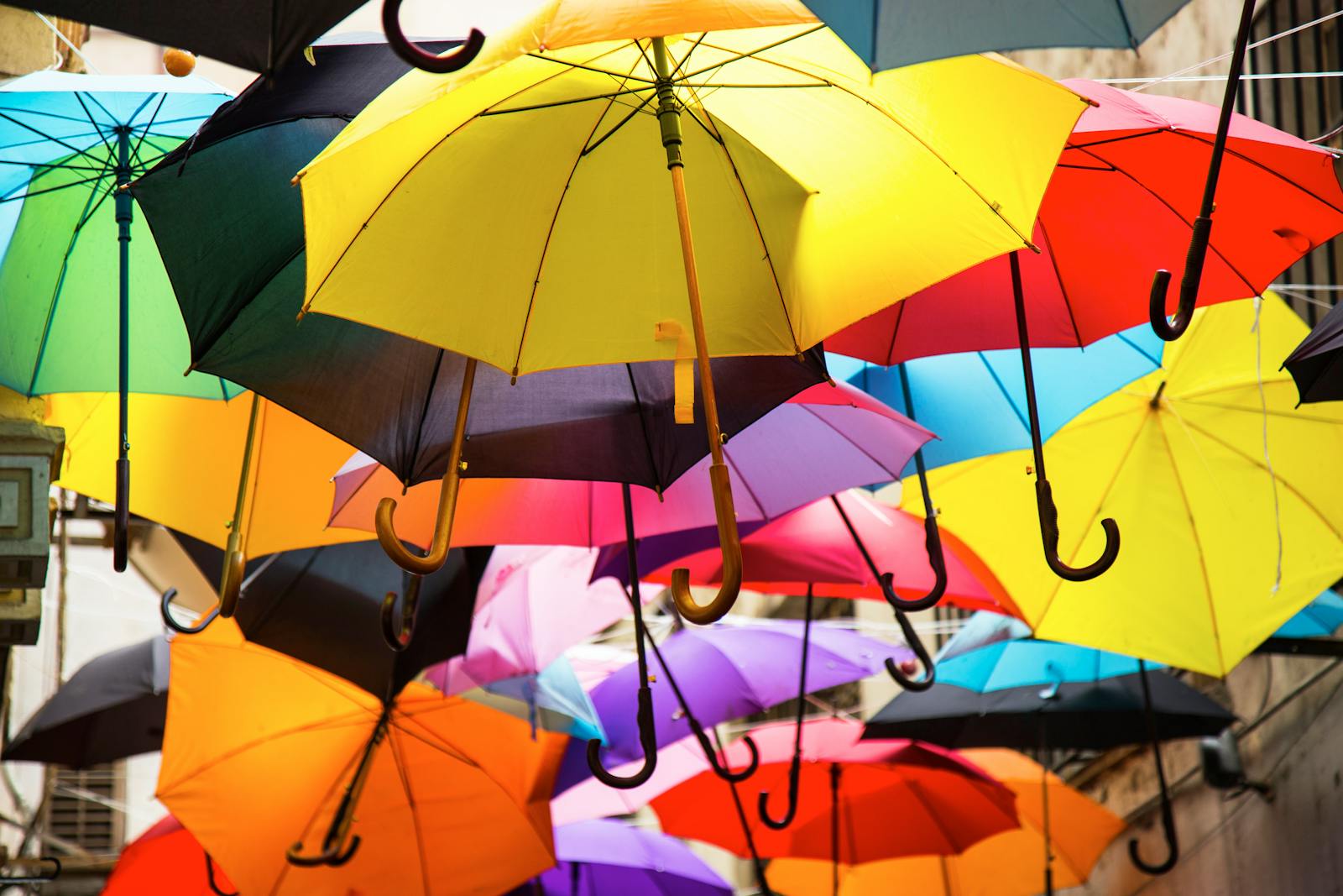 Why the Blunt Umbrella is a Game-Changer in the World of Rain Gear