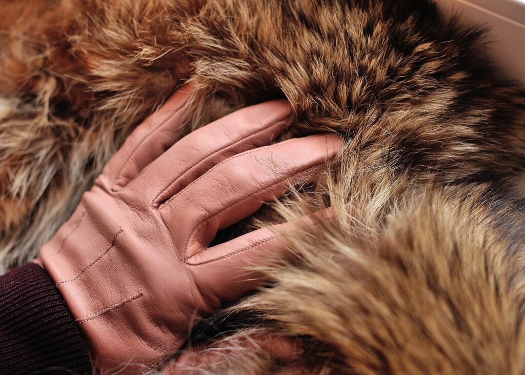 tan gloves, gloves, leather gloves