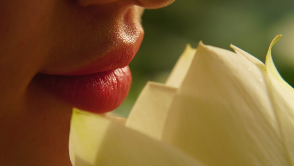 lips, lotus, face, flower, nature, close-up, lips, lips, beautiful flowers, lips, lips, flower wallpaper, flower background, lips