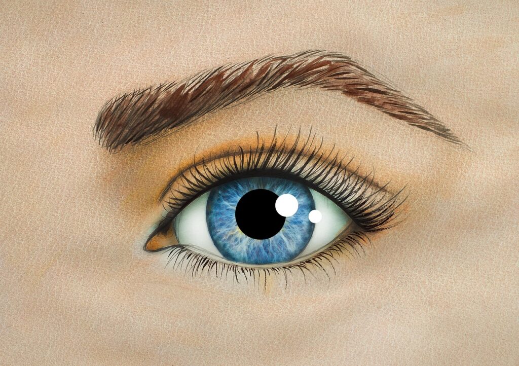 eyes, student, iris, blue, brows, open, watercolor, faces, eyelashes, drawing, person, blue eyes, sight, pupil, brows, brows, brows, brows, brows