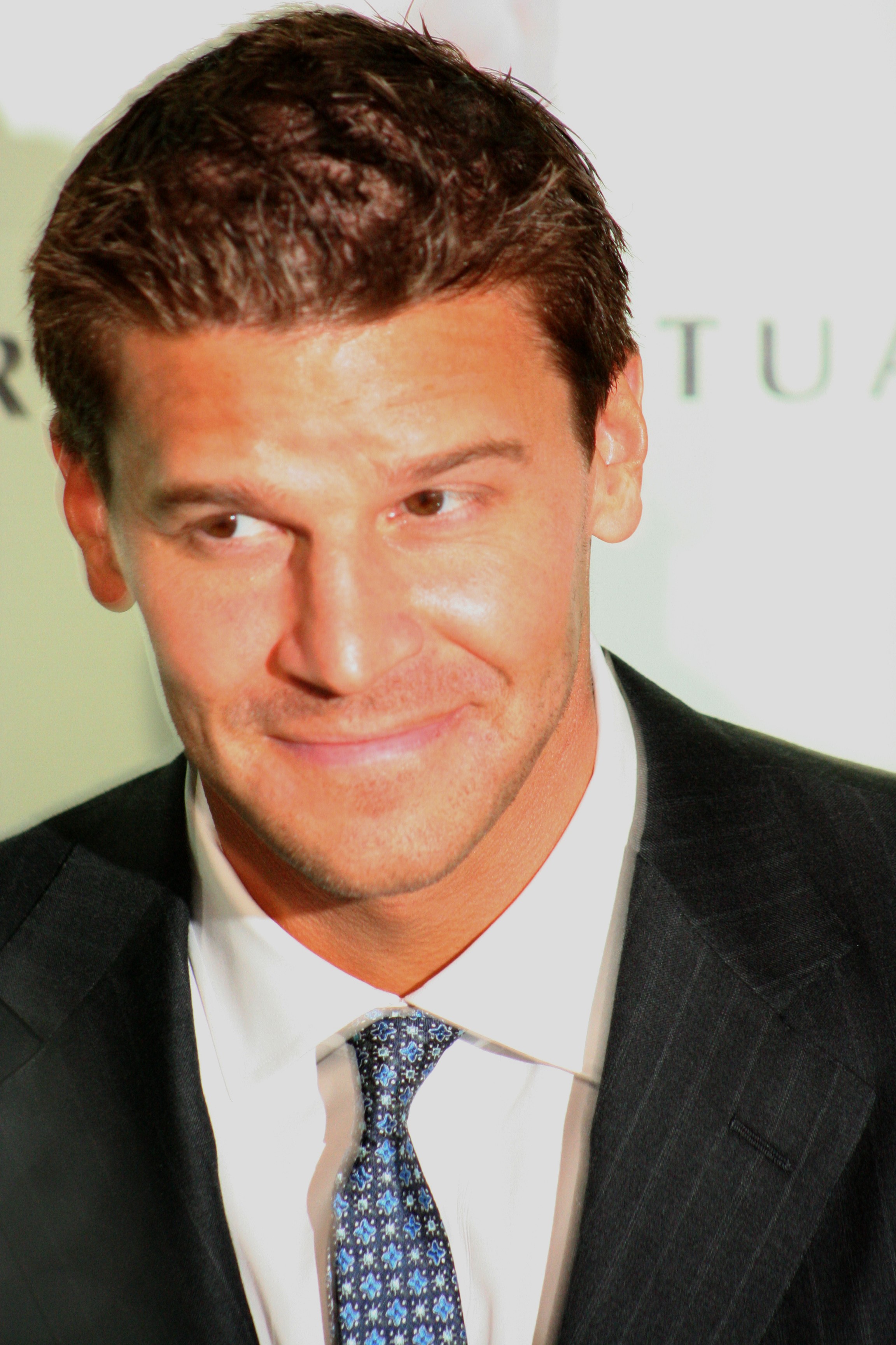 David Boreanaz May 2006 suit and tie 2