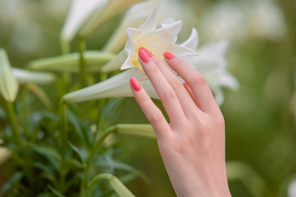 Transform Your Nails: Discover the  Solution That Helps Stop Nail Biting