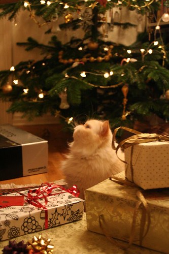 Sine and some christmas gifts