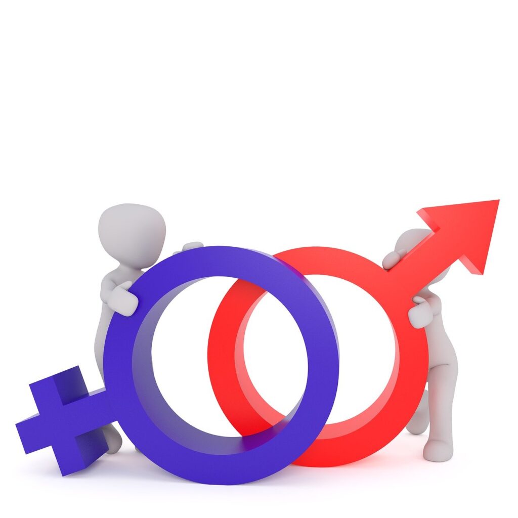 equality, gender, woman, duality, heaven, man, female, symbol, woman sign, blue, contrary, opposites, difference, to be one, unit, woman power, peace, icon, 3d male, 3d, one, male, figure, powerpoint, masculine, feminine, gender, gender, gender, gender, gender