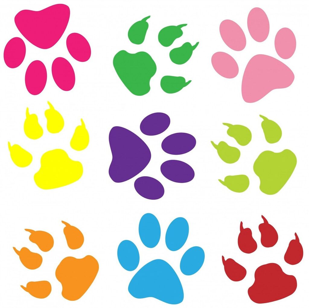 paw print, paw prints, wallpaper, pattern, background, colorful, red, pink, orange, yellow, green, nature, blue, purple, paper, animal, dog, cat, pet, tracks, art, design, shape, paw print, paw print, paw print, paw print, paw print, paw prints, paw prints, paw prints