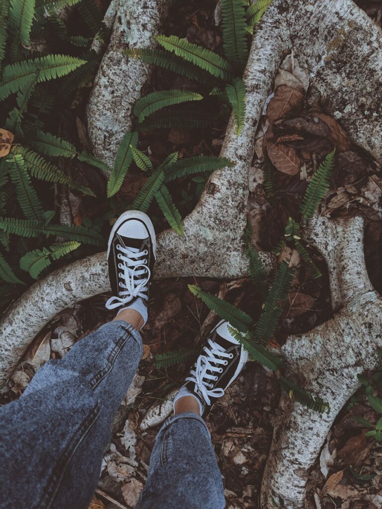 Person wearing denim and sneakers standing on tree roots surrounded by ferns.