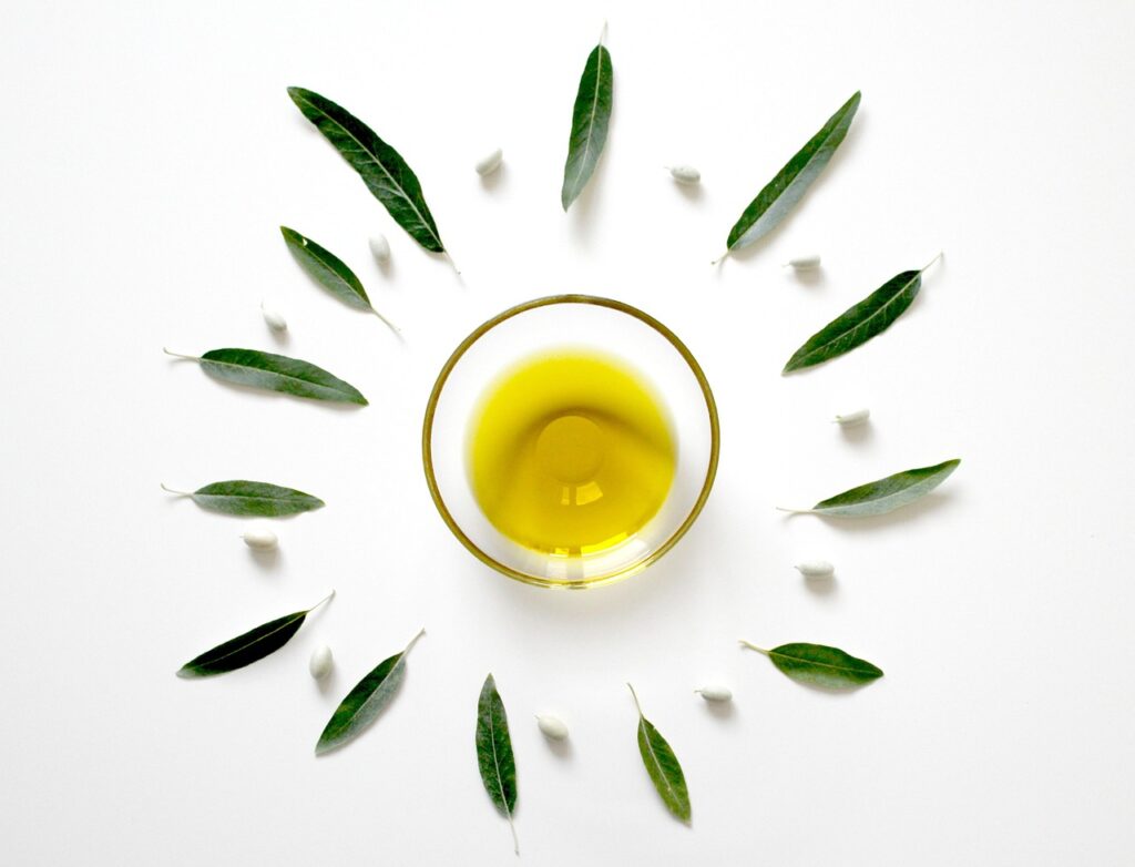 olive, oil, leaf, plant, eat, food, mediterranean, green, table, decoration, olive, oil, oil, nature, oil, oil, oil, leaf