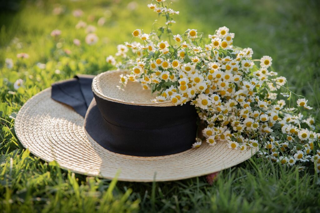 hat, chamomile, summer, nature, flowers, flower wallpaper, bloom, plant, fashion, woman, flower background, girl, grass, lawn, hat, hat, hat, hat, hat, beautiful flowers, chamomile