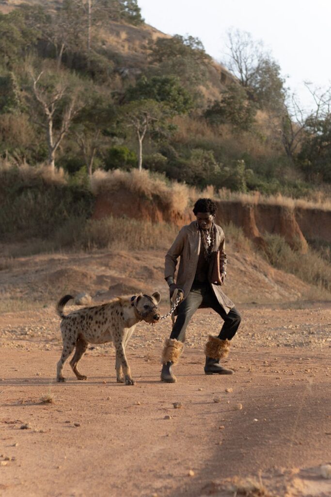 A man walks a hyena on a leash in a dry and rugged landscape, showcasing an unusual companionship.