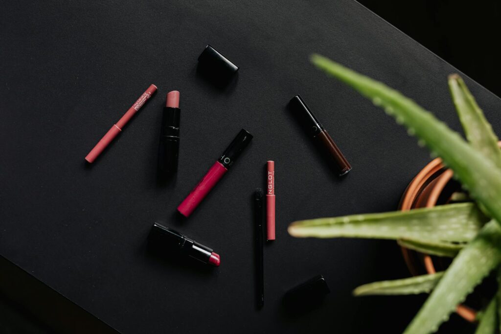 Overhead view of an assortment of lipsticks and makeup products complemented by an aloe plant, on a black background.