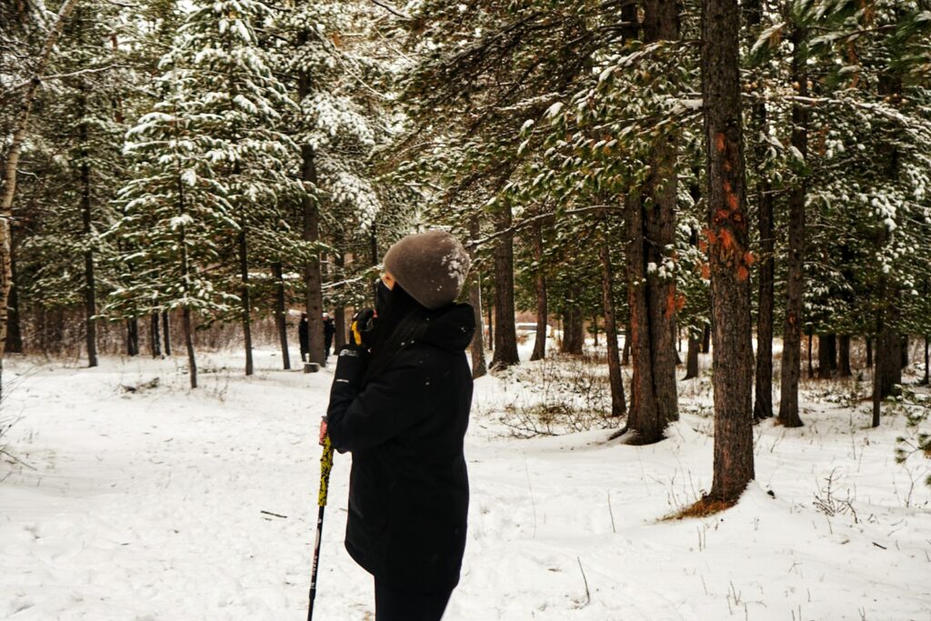 a person on skis standing in the snow