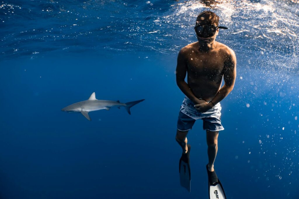 A diver exploring underwater alongside a shark, showcasing adventure and marine life.