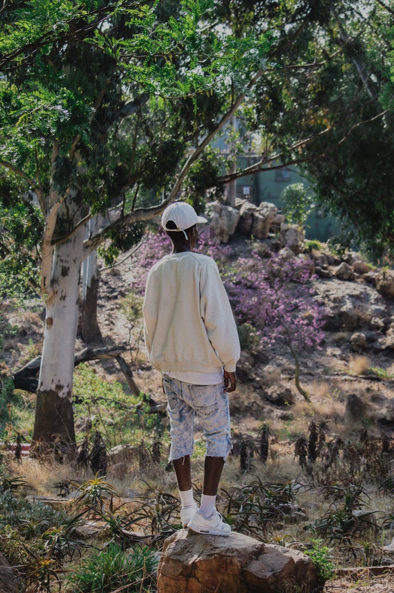 A boy in bright clothing stands on a rock in a sunny park surrounded by trees.