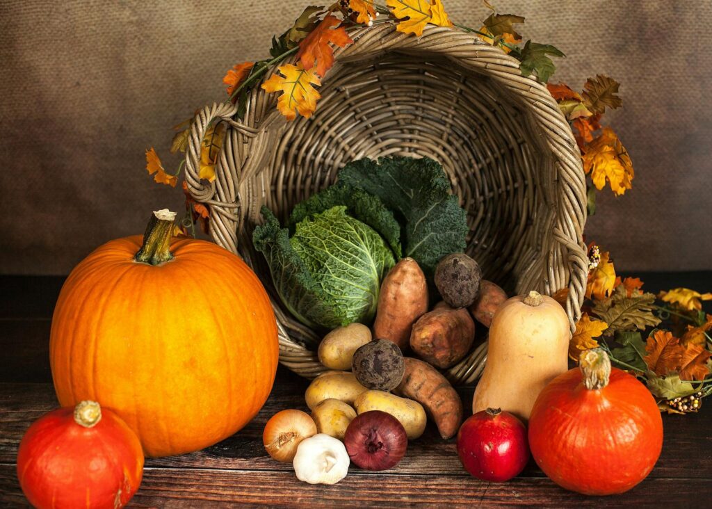 Your Ultimate Guide to Keeping Produce Fresher, Longer: Expert Picks and Essential Tips