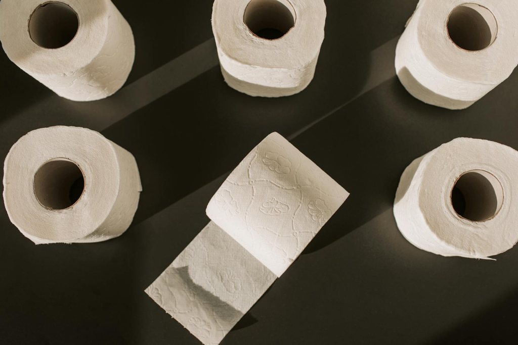 Tested & Approved: Your Guide to the Worthy Toilet Paper and Bidet Attachments