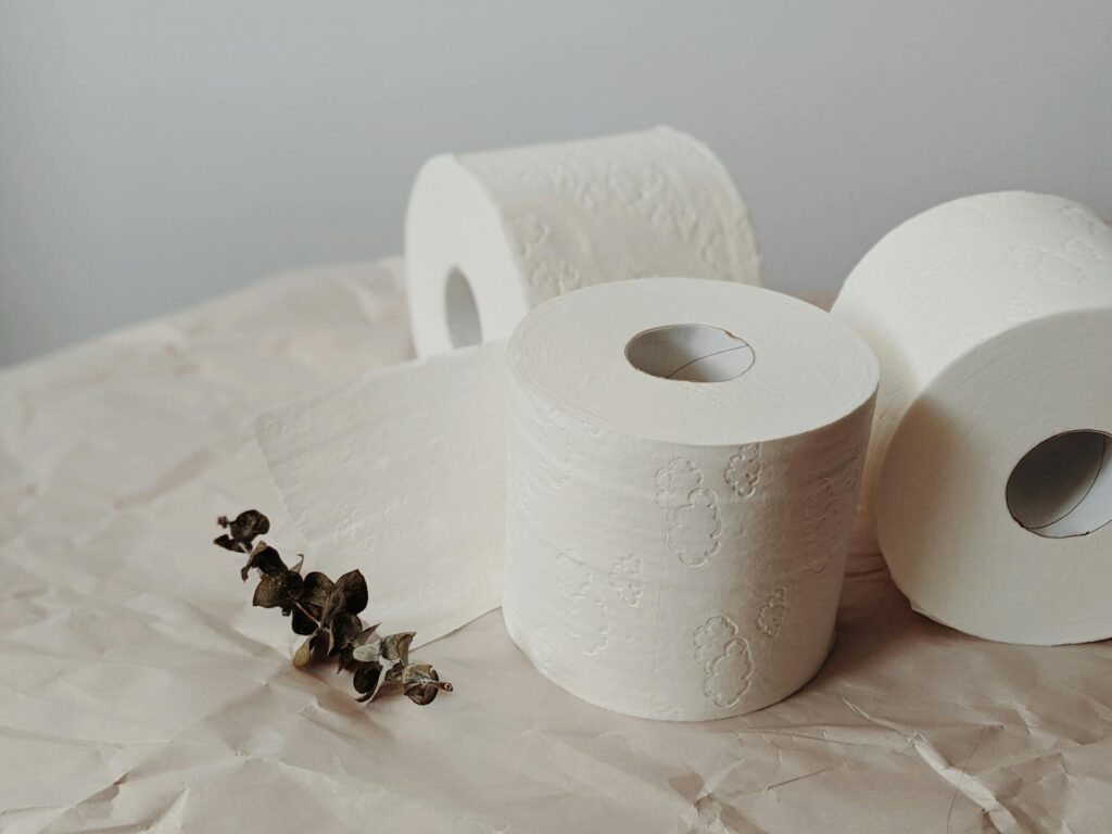 Three toilet paper rolls on craft paper with eucalyptus, showcasing minimalist home essentials.
