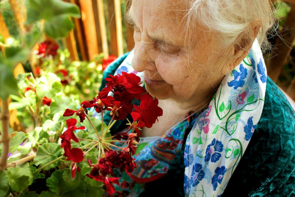 Senior woman appreciating the scent of red geranium flowers outdoors.