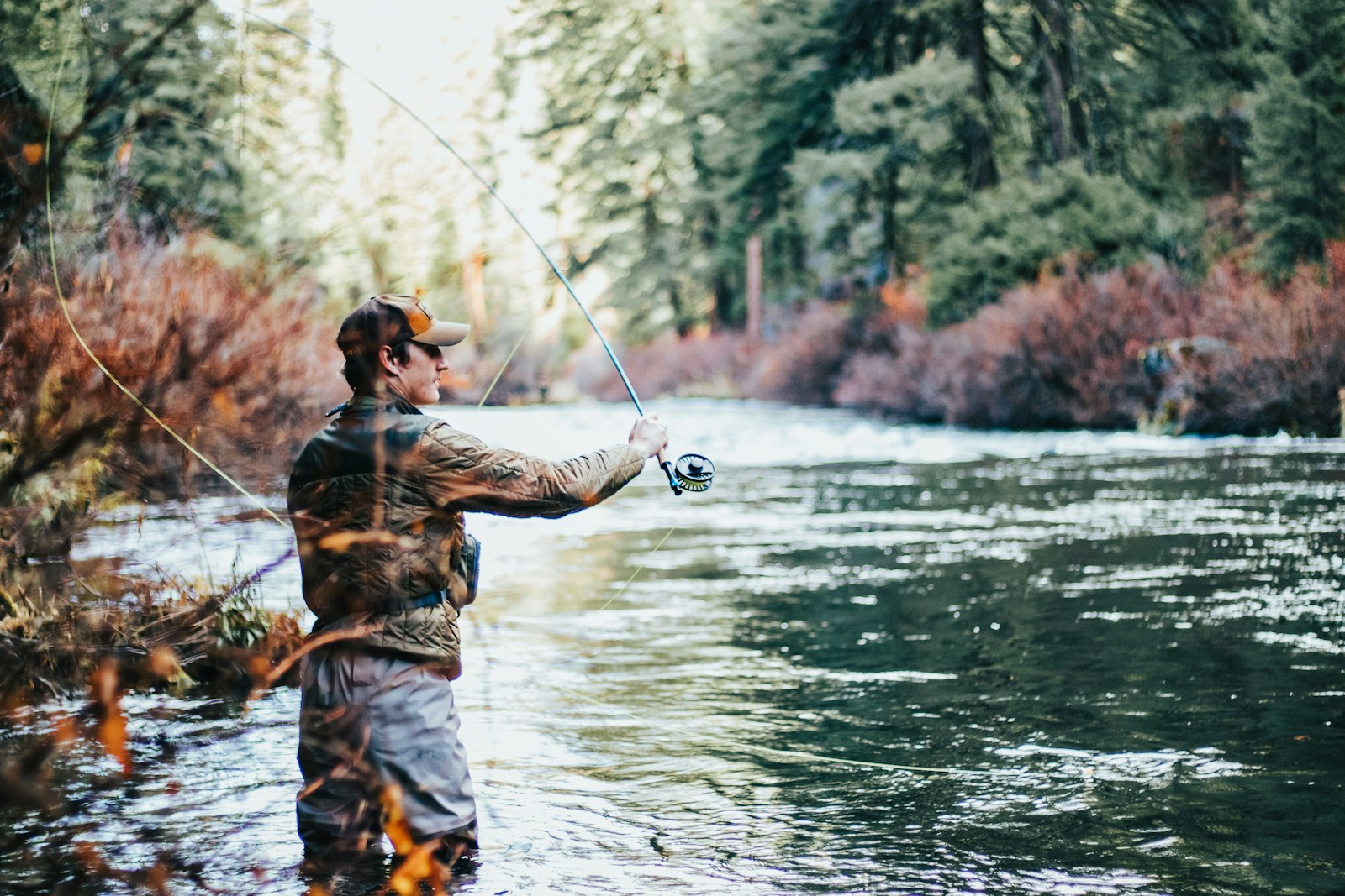 Beyond the Hype: 5 Overlooked Lures and Techniques Bass Anglers Should Revisit