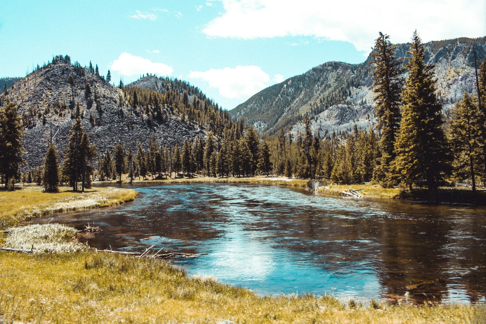 Yellowstone’s Hidden Dangers: Thermal Areas and Wildlife Pose Significant Risks to Visitors