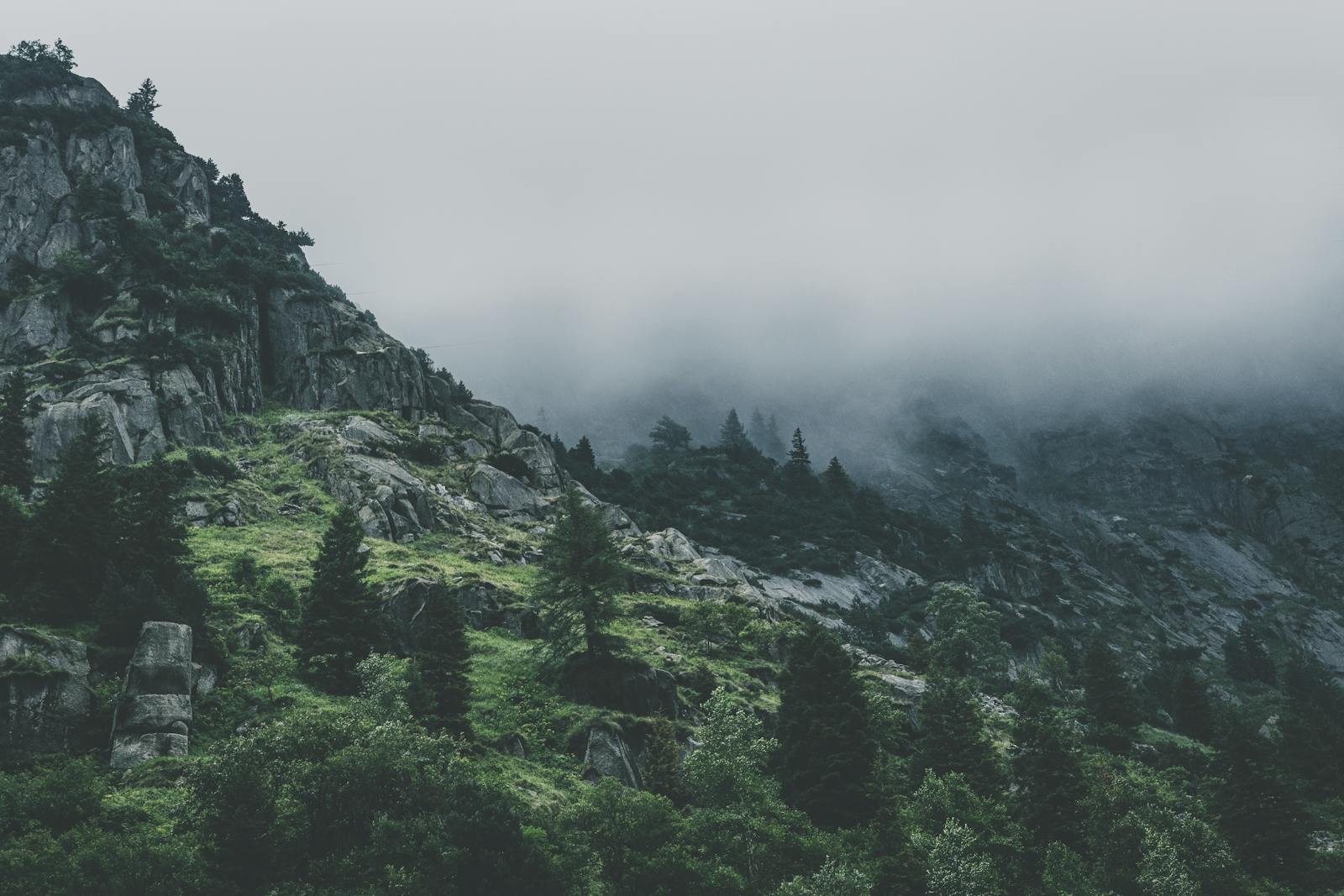 Scenic view of a fog-covered mountain with lush pine trees and rocky terrain.