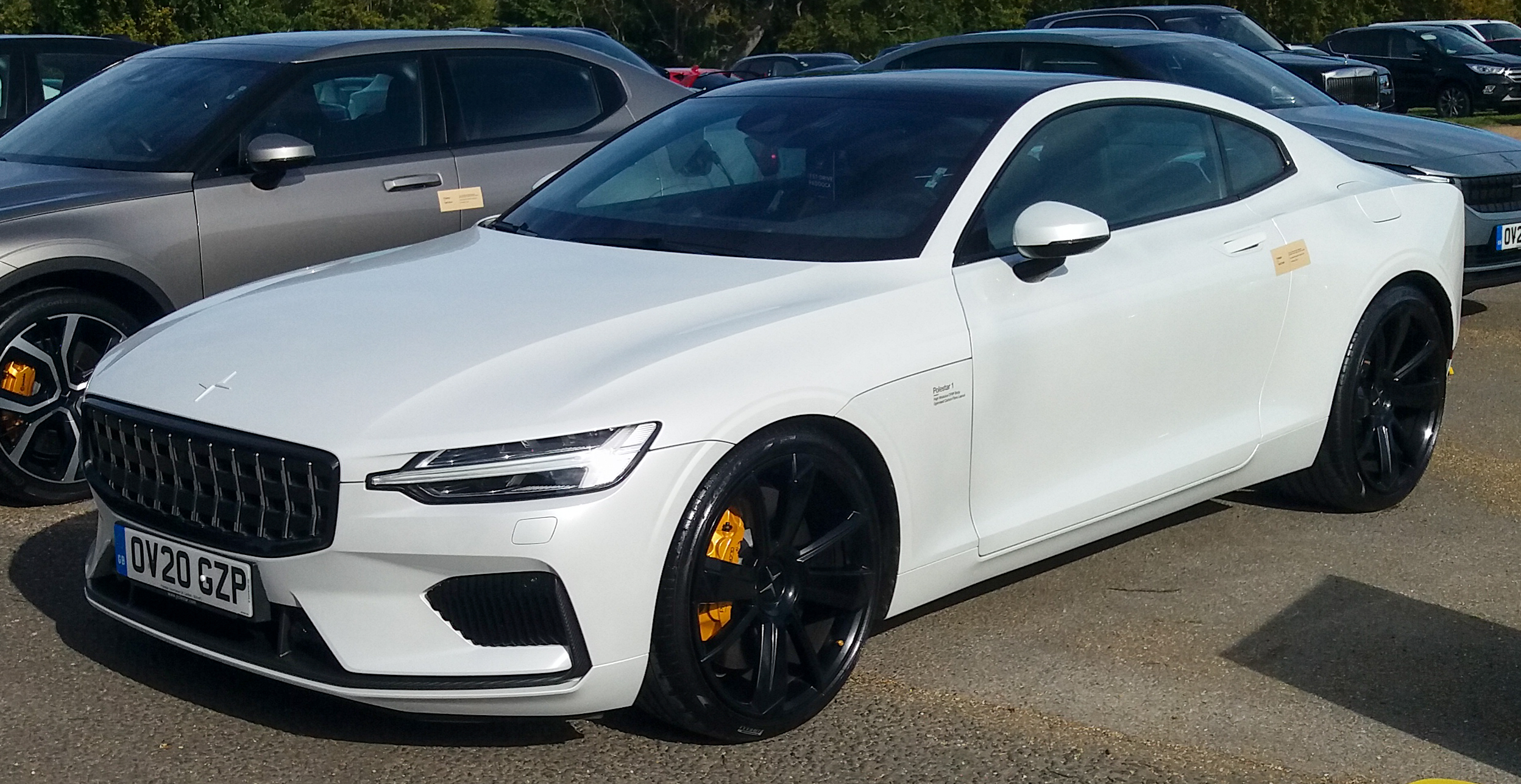 Polestar Cuts 15% of Jobs Amid Tough EV Market After Missing Sales Target