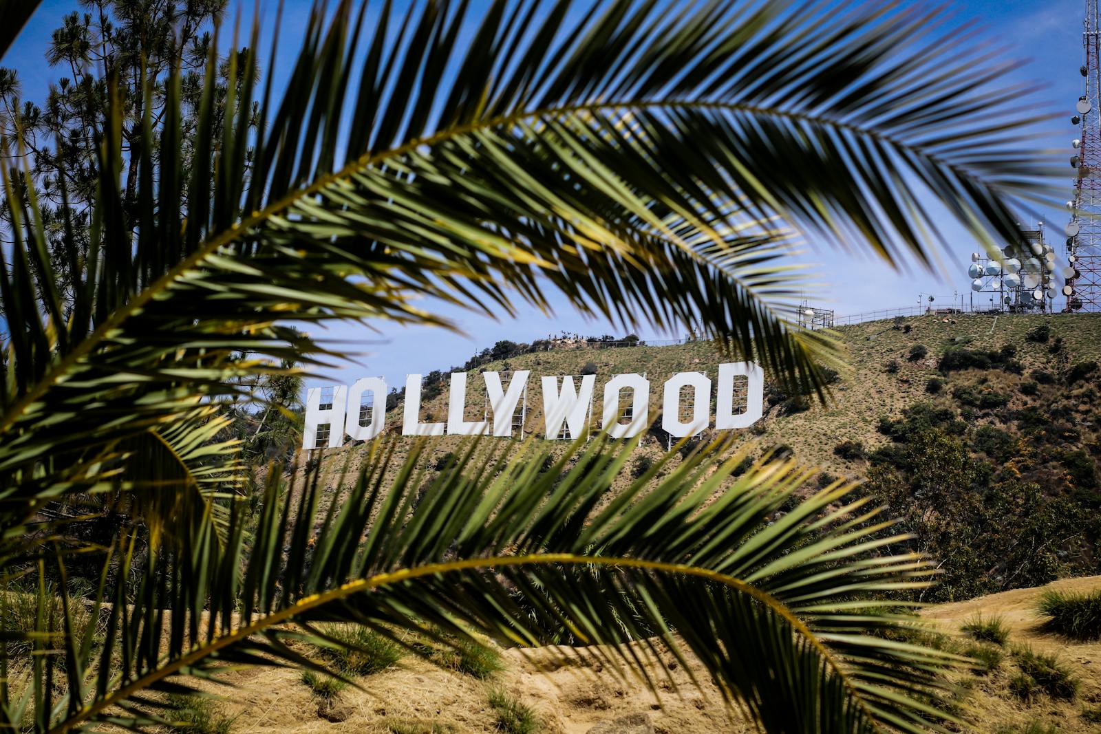 Hollywood’s Casting Switch-Ups: Stars Who Were Fired From Big Movie Roles