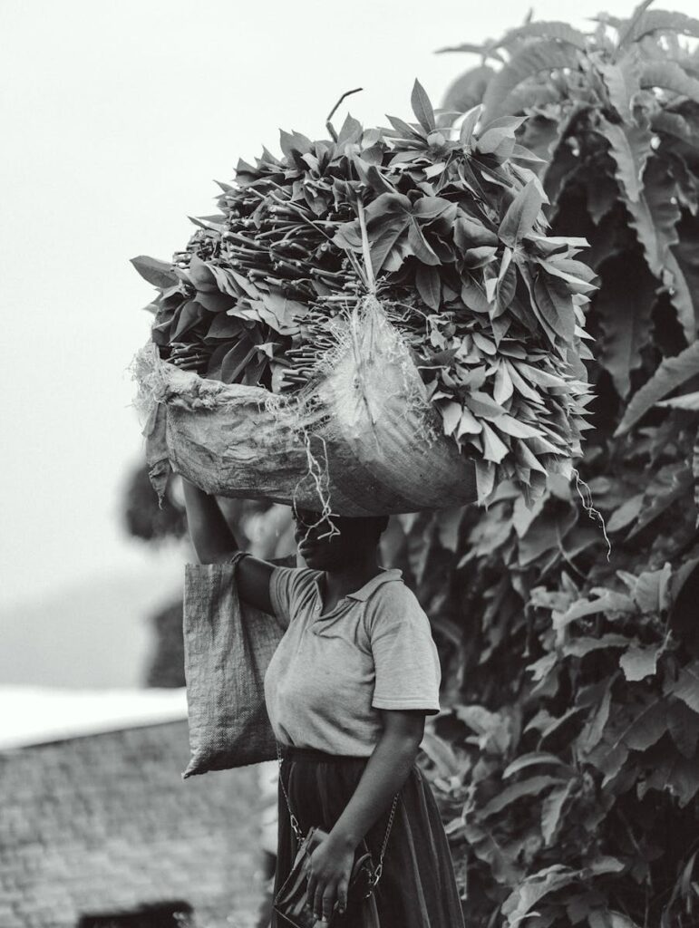 A woman carrying a large basket of leaves on her head, outdoor rural setting.