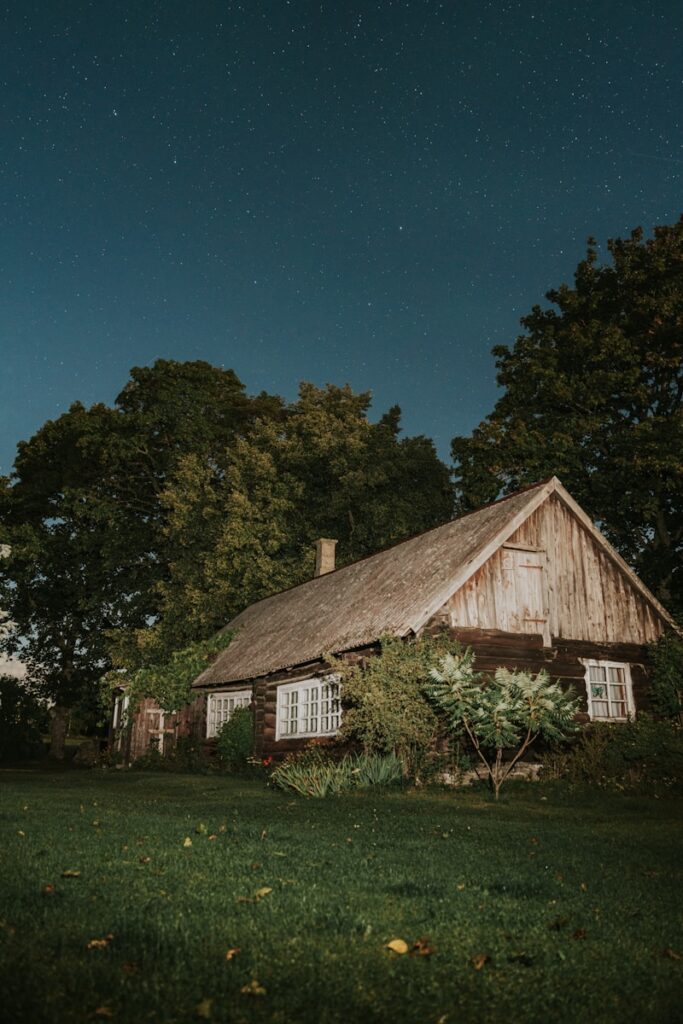 A house with a thatched roof in the middle of a field