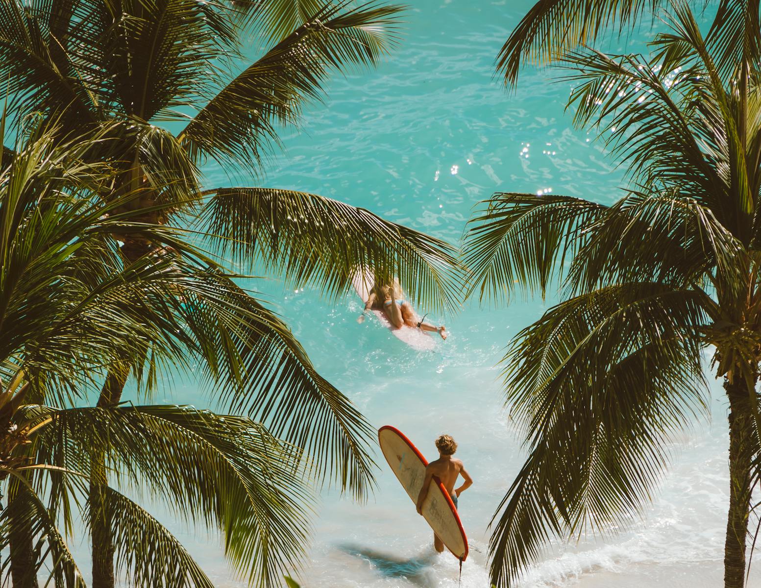 Aerial view of surfers enjoying a bright tropical beach surrounded by palm trees.