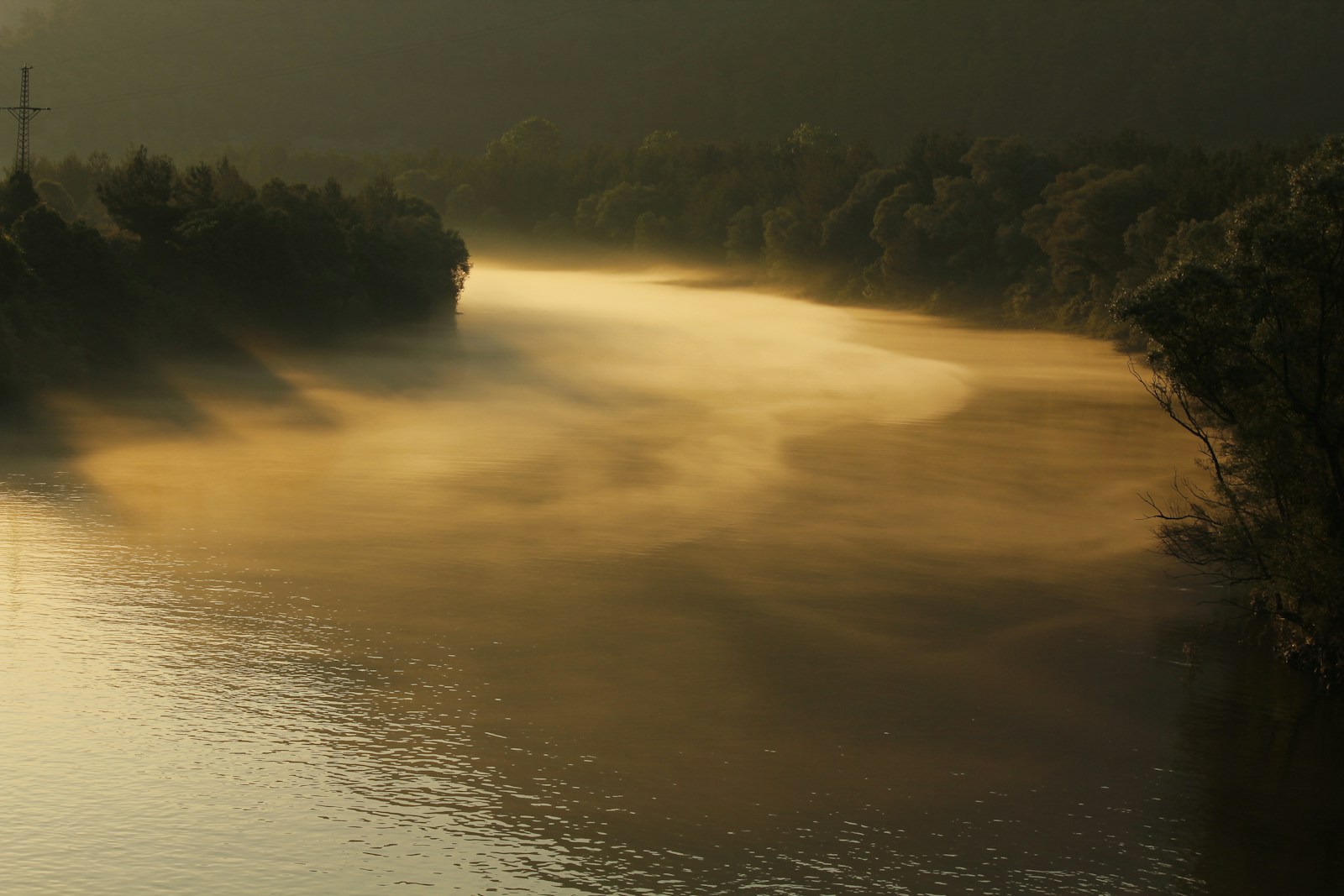 body of water near green trees during daytime