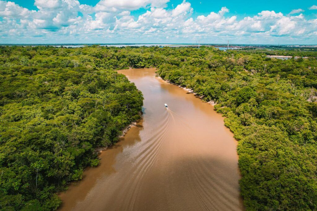 10 Mind-Blowing Facts About the Amazon River