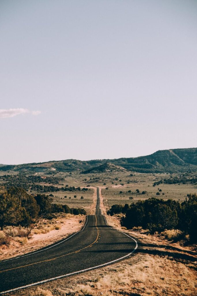 Arizona's Desert Drives