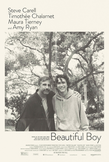 9. Beautiful Boy 2018