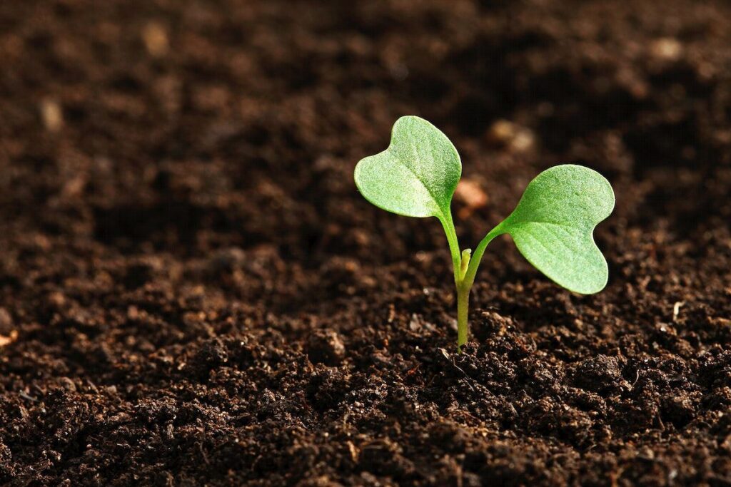 Organic farming