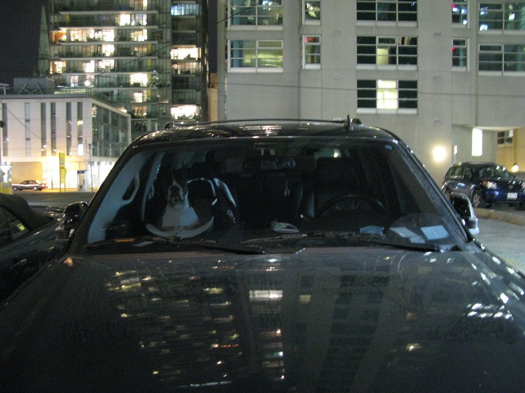 Better than a car alarm