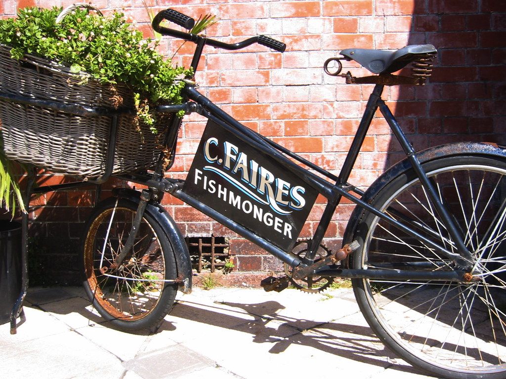 Bicycles or Scooters