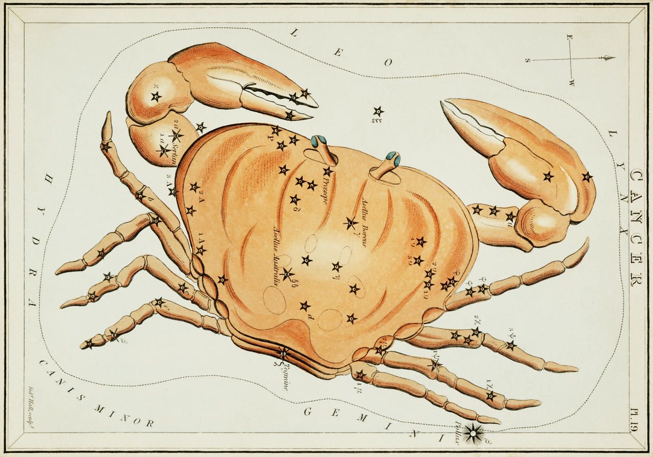 Cancer (June 21 – July 22)