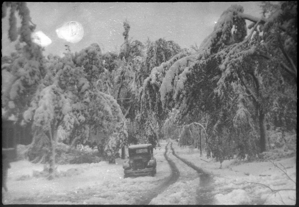 Car Skidding on Curzon, Montréal