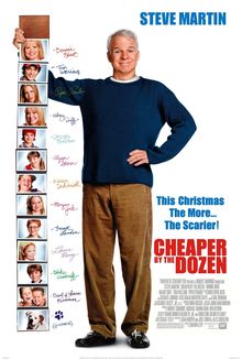 11. Cheaper by the Dozen 2003