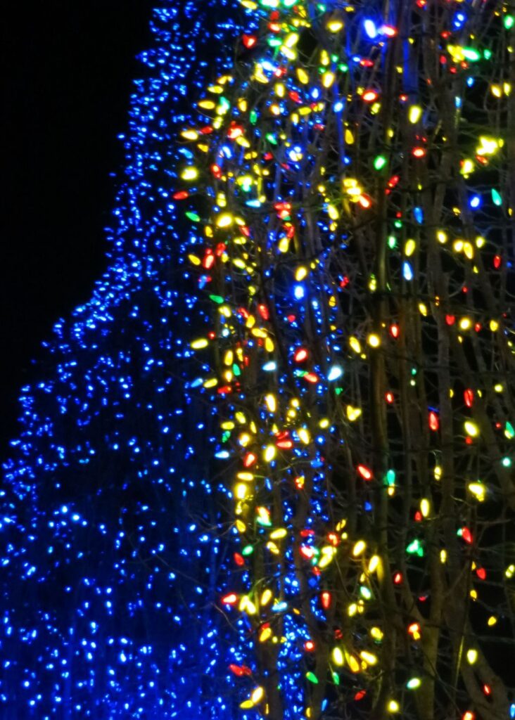 Christmas Lights in July