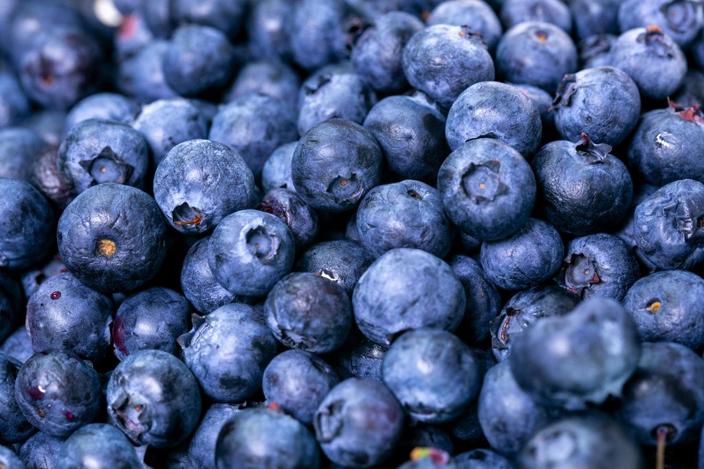 Blueberry Oatmeal Bites