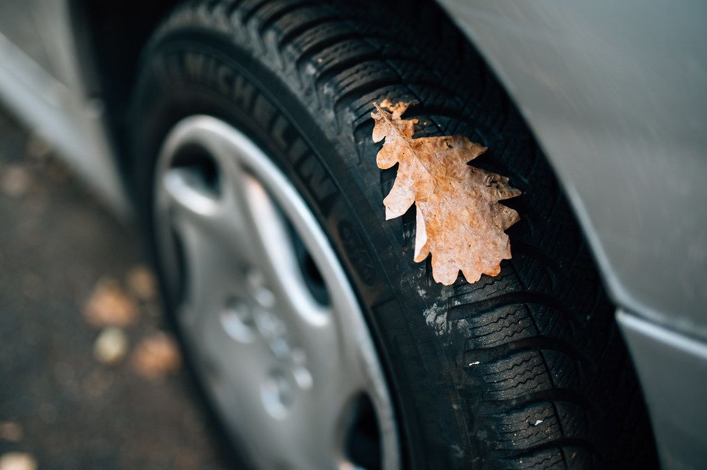 Close-up of a dry leaf on a car tire