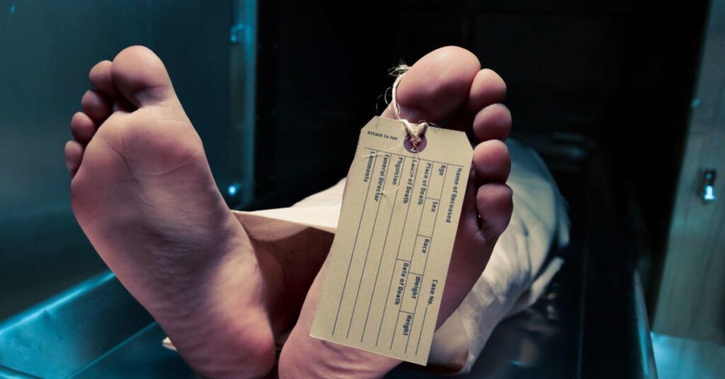 Dead Man on Campus 1998，IMDB Rating: 6.0, IMDB Votes: 16441, ID: 0118301