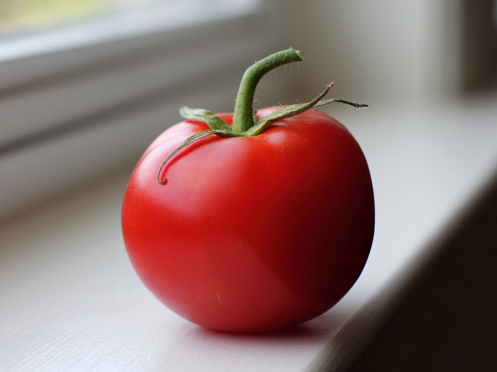 perfectly ripe tomatoes