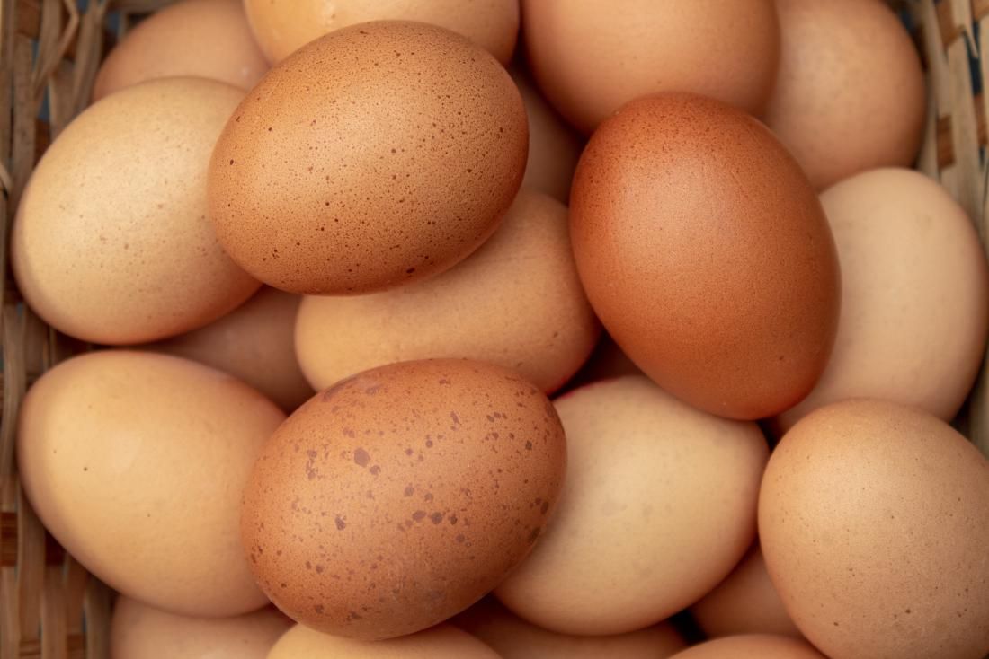 Eggs: The Incredible, Edible Brain Booster