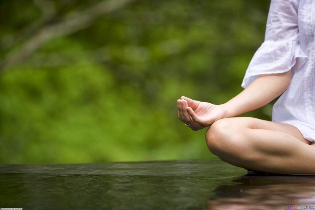 Envisioning Victory: The Role of Visualization in Alica's Success