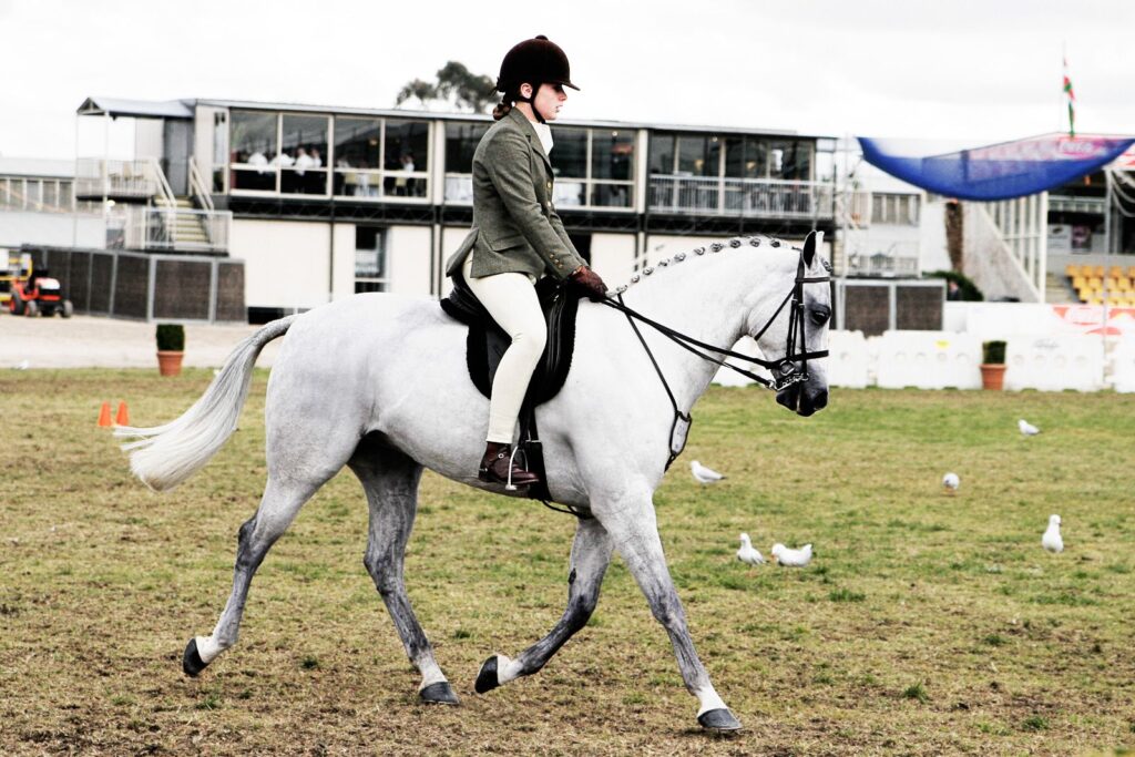 Equestrian Sports
