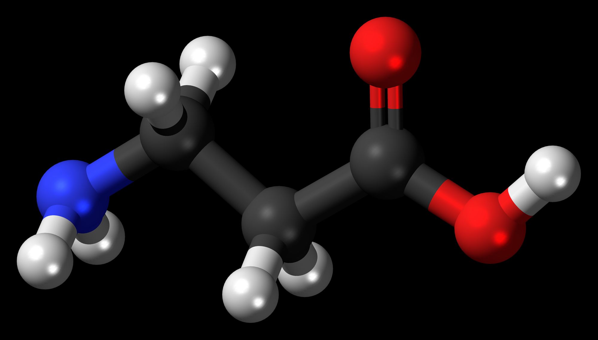 β-alanine