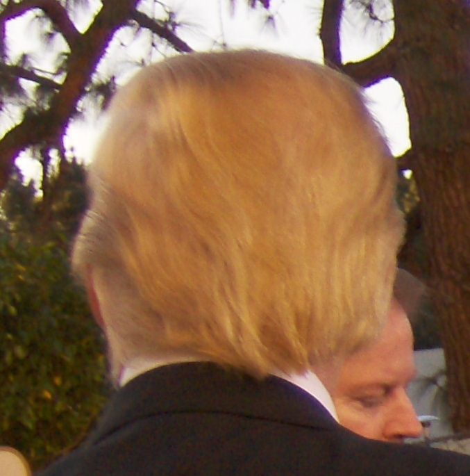Donald Trump's hair