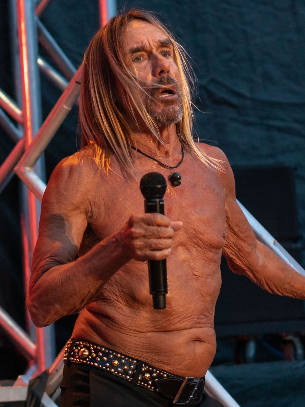 Iggy Pop